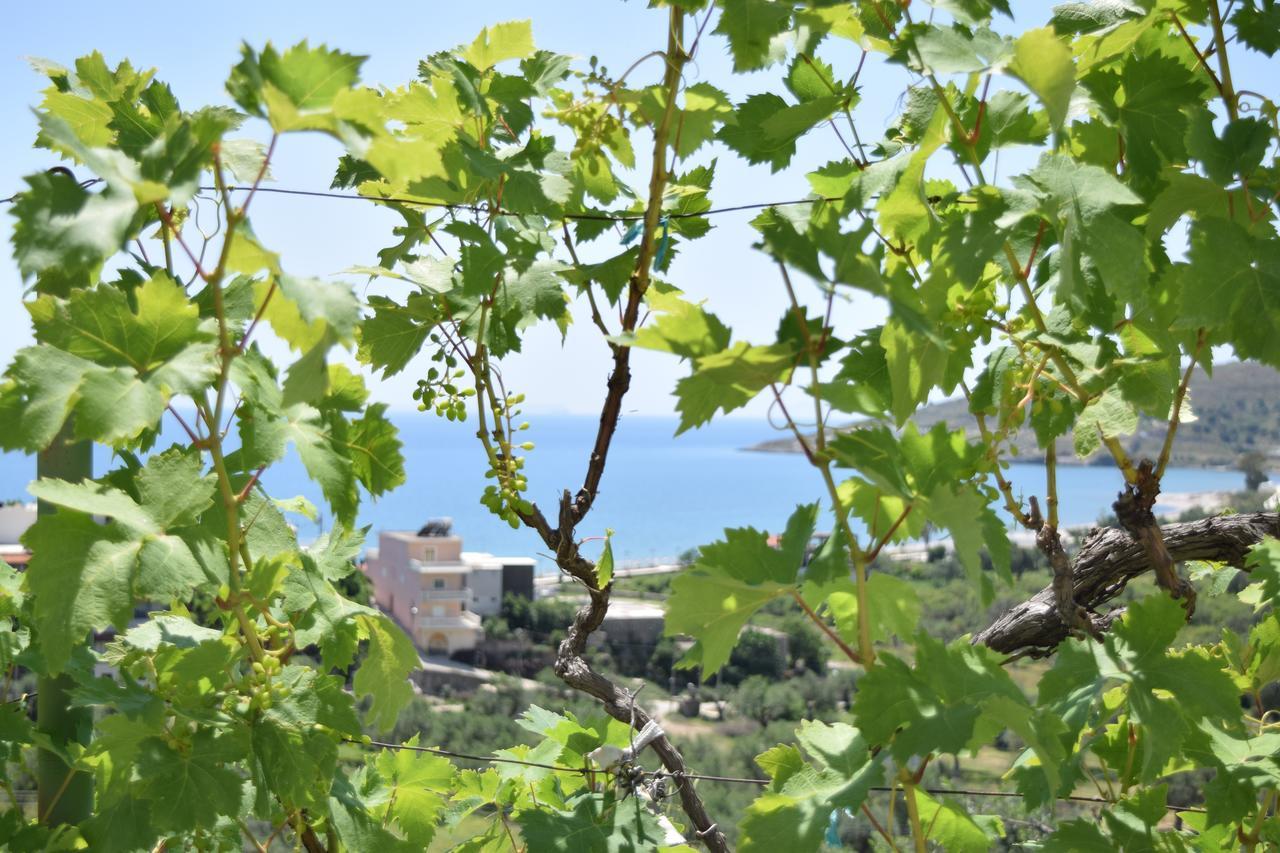 Belvedere Adriatica كيبارو المظهر الخارجي الصورة
